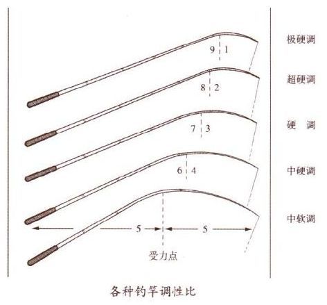 调性