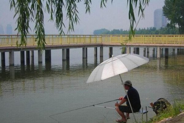 阴雨天钓鲢鳙技巧 