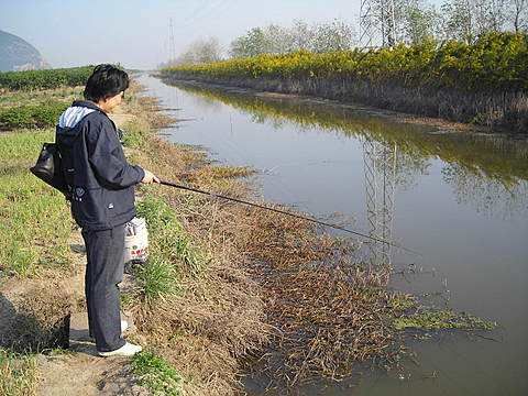 野钓截口鲫鱼的方法和技巧