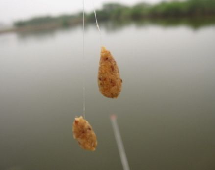 饵料溶散性的正确理解 