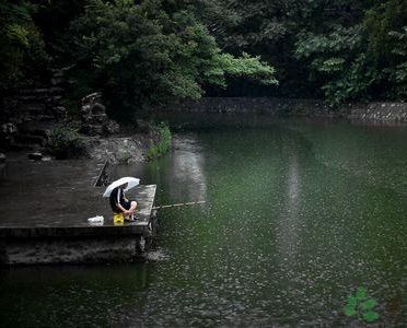 雨天垂钓技巧 