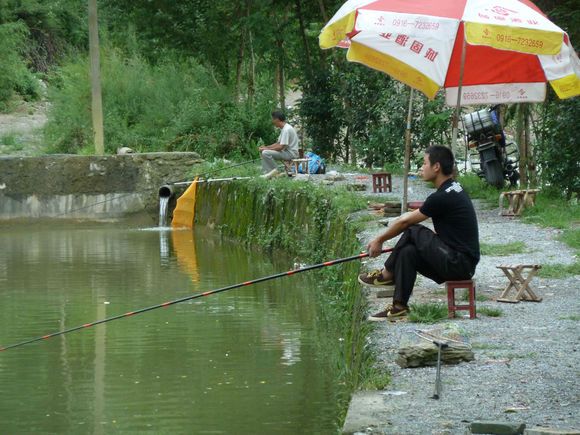 鱼塘钓鲤鱼的重要因素是