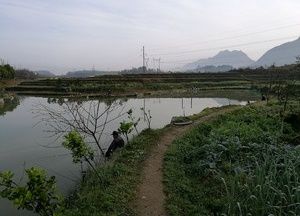 天井湾钓鱼休闲中心