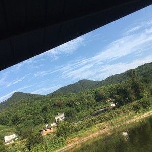 山水鱼