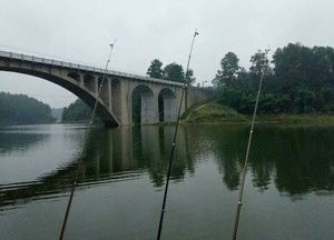 天宝湖水库