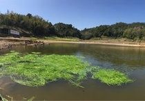 小雷生态垂钓园