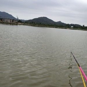 百家乐生态垂钓园