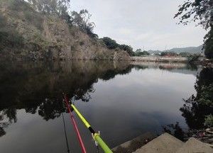 龙头山钓鱼场