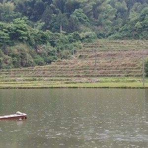 避风塘山庄钓鱼场