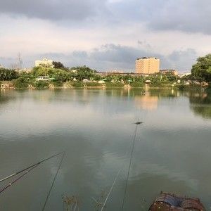 丰彩钓鱼场