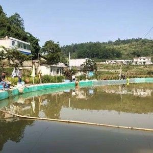 葫芦坡垂钓场