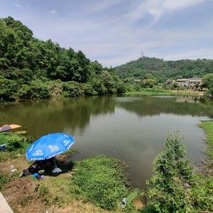 虞家湾水库钓场