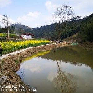 鹰嘴河生态钓场