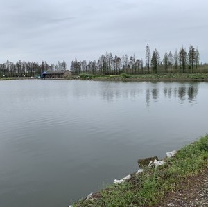 迎湖桃源路亚基地