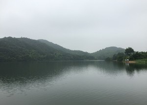 小洞岙水库