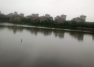 滨海森林公园