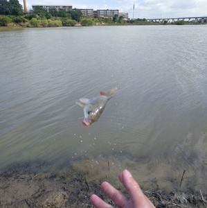 抚河故道（禅师岭）