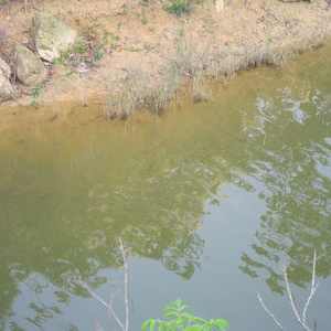 马鞭稍水库