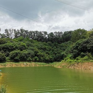 梧桐山天鹅湖水库