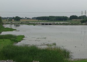 东北流村大河