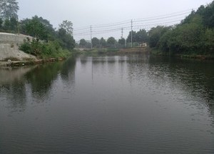 益阳铁路桥水库钓鱼场