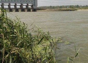 小中河