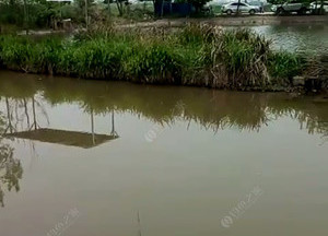 源强种养专业合作社水产养殖基地