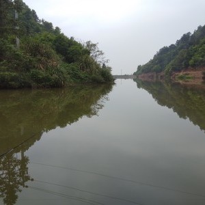 西村分界山塘水库