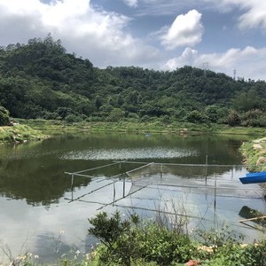 情人河垂钓园