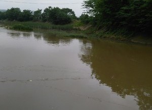 龙头铺太平河