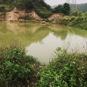 先锋岭水库