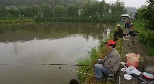 阴雨怎么钓鱼最好